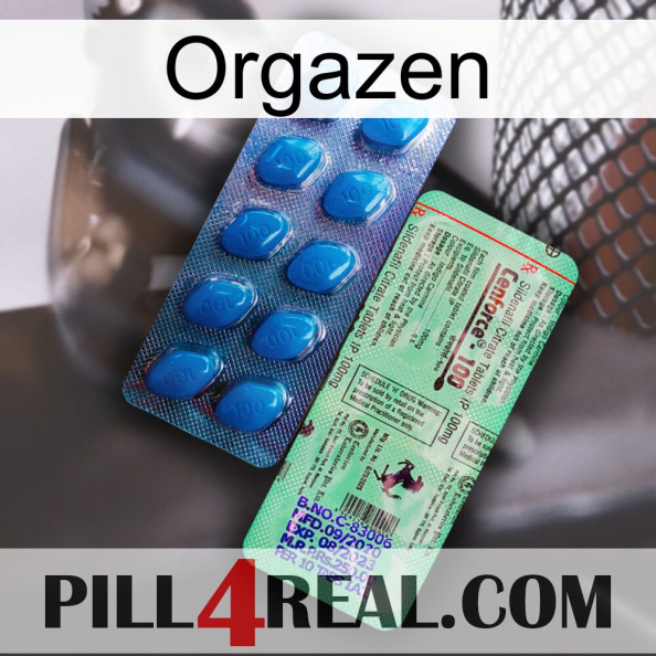 Orgazen new02.jpg